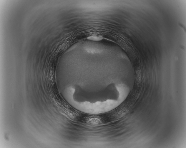 X0000100400653200806201737