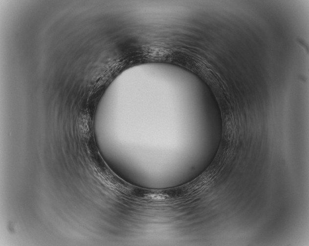 X0000100400654200806201737