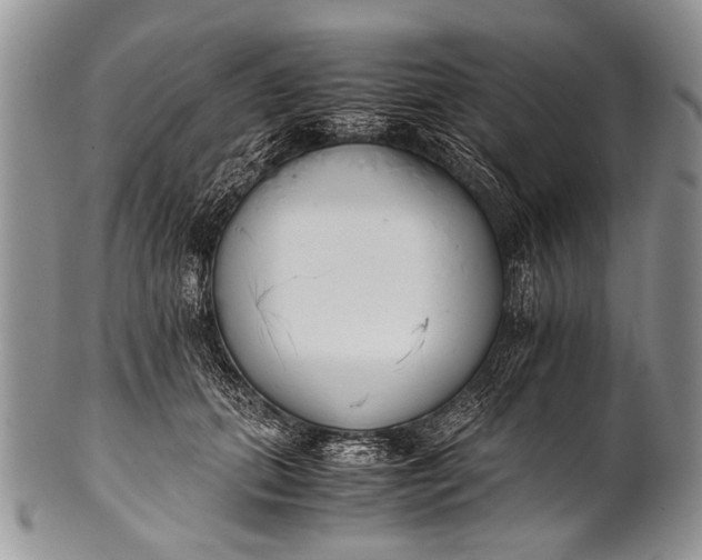 X0000100400655200806201737