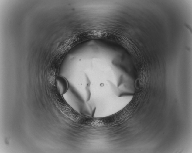 X0000100400656200806201737