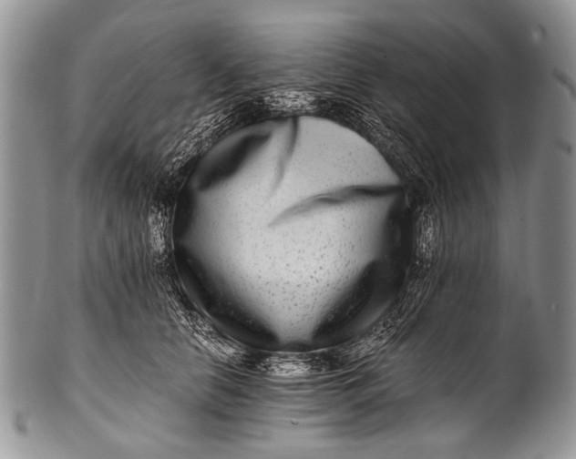 X0000100400658200806201737