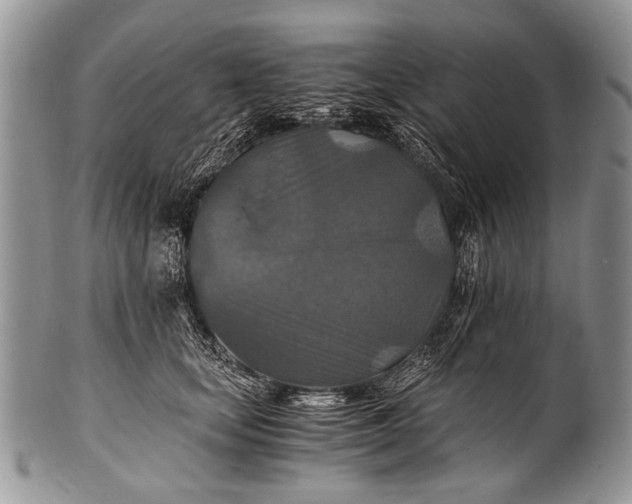 X0000100400659200806201737
