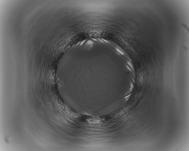 X0000100400661200806201737