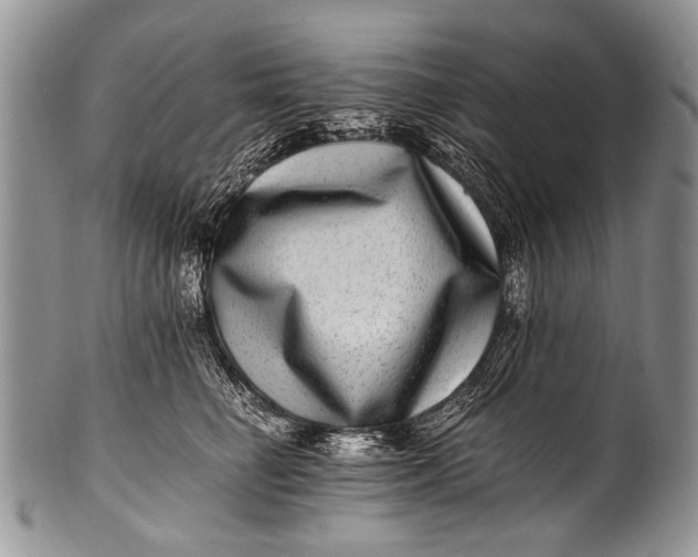 X0000100400662200806201737