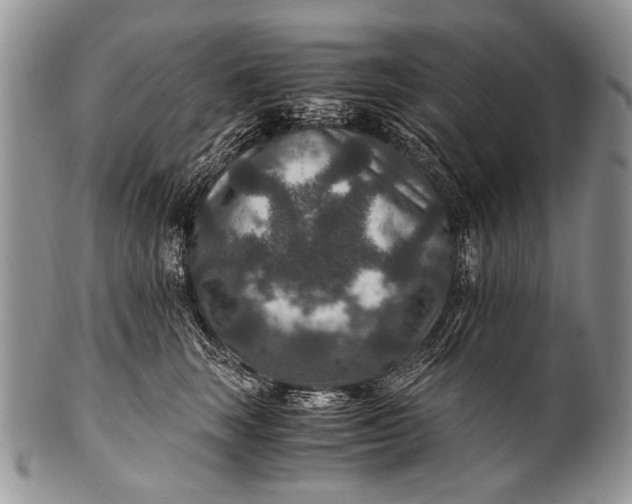 X0000100400663200806201737