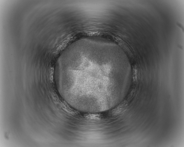 X0000100400664200806201737