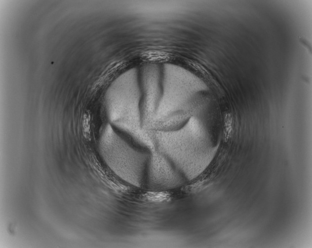 X0000100400667200806201737