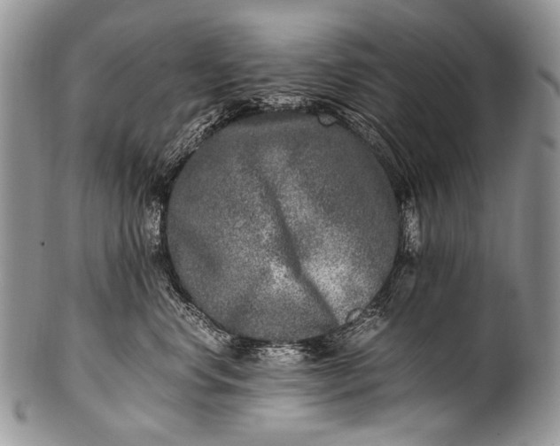 X0000100400668200806201737