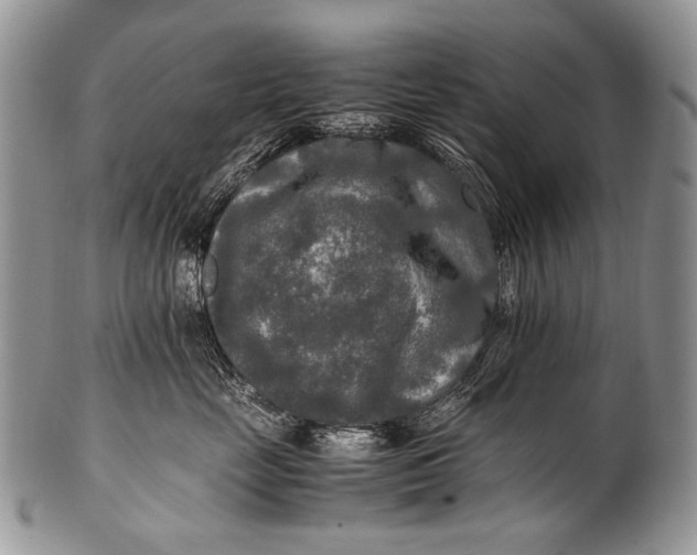 X0000100400669200806201737