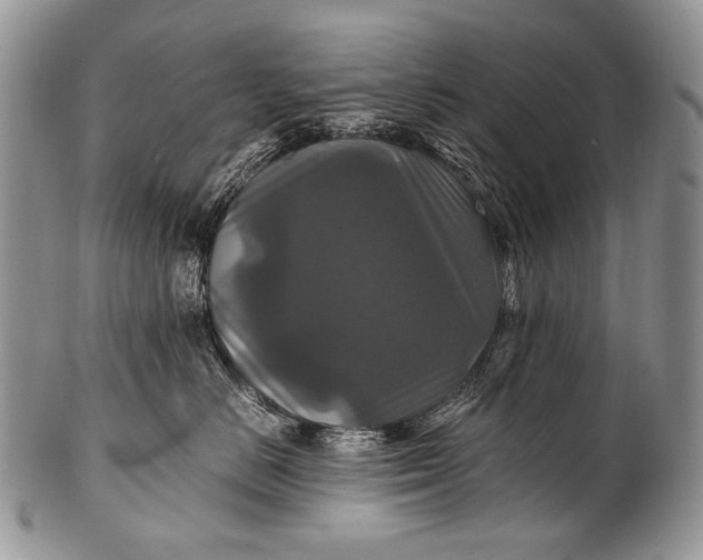 X0000100400670200806201737