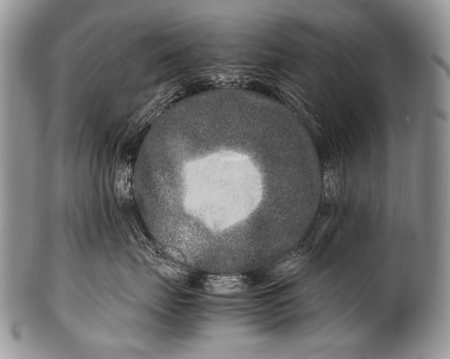 X0000100400671200806201737