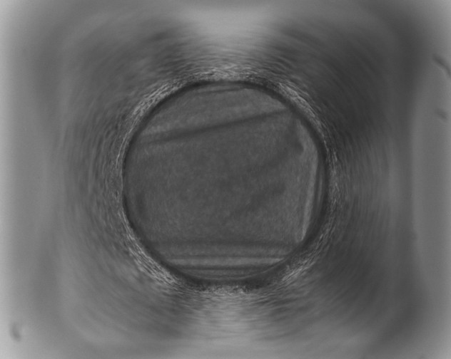 X0000100400673200806201737