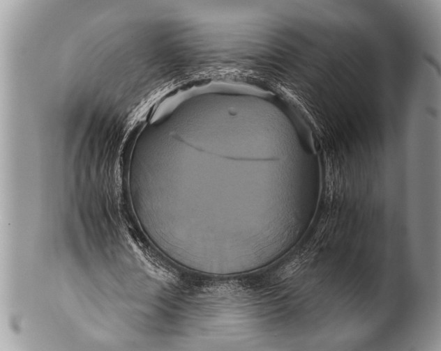 X0000100400674200806201737