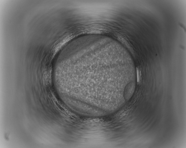 X0000100400675200806201737