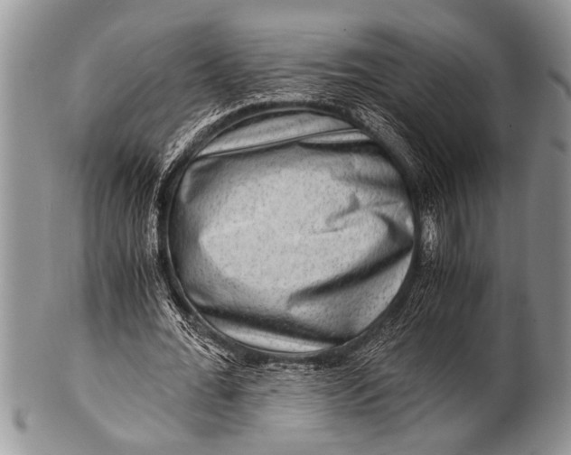 X0000100400676200806201737