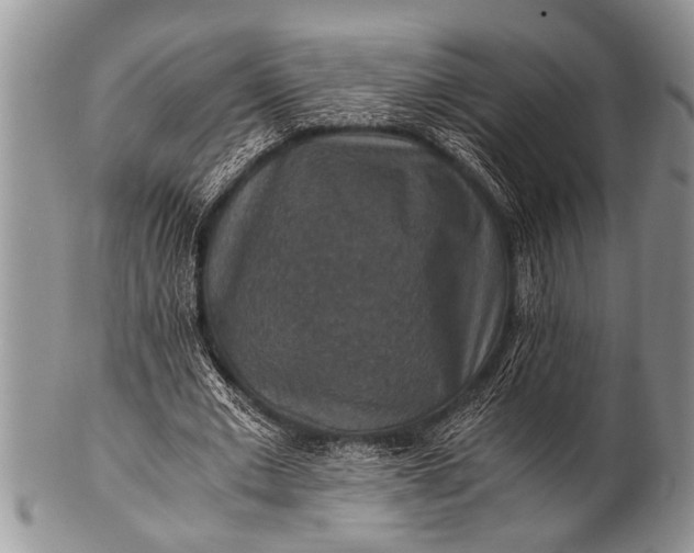 X0000100400677200806201737