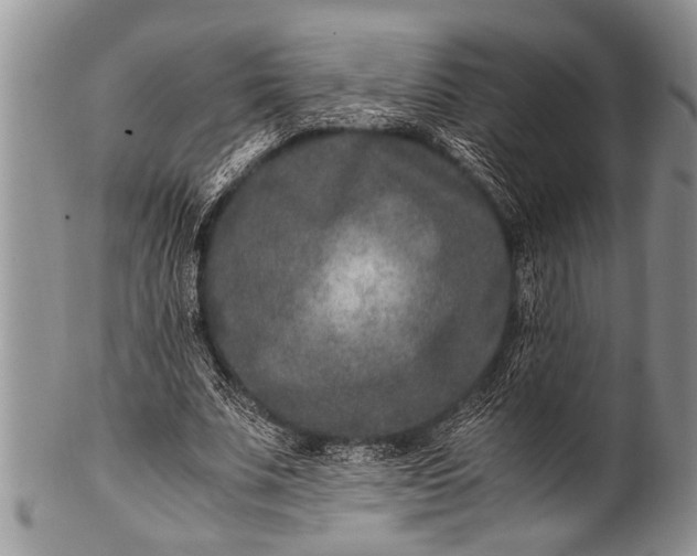 X0000100400679200806201737