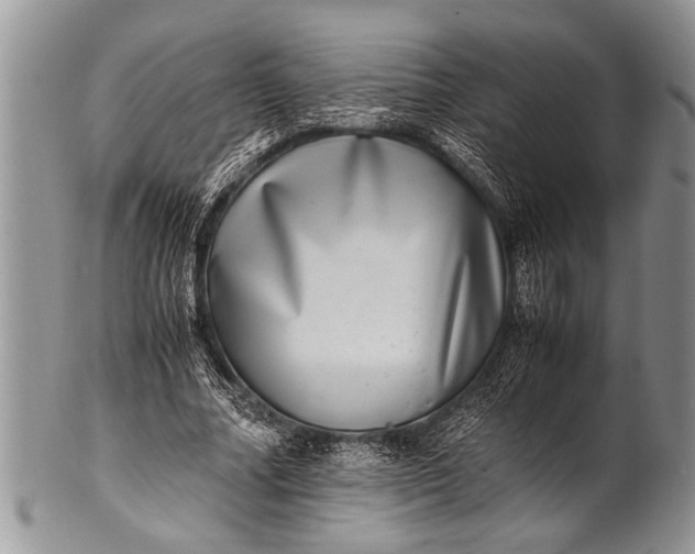 X0000100400682200806201737