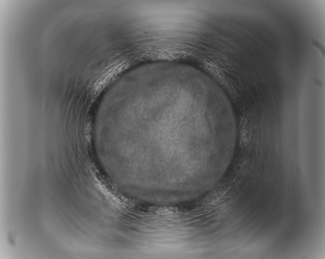 X0000100400683200806201737