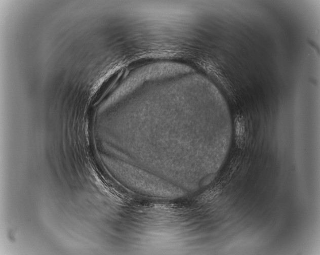 X0000100400684200806201737