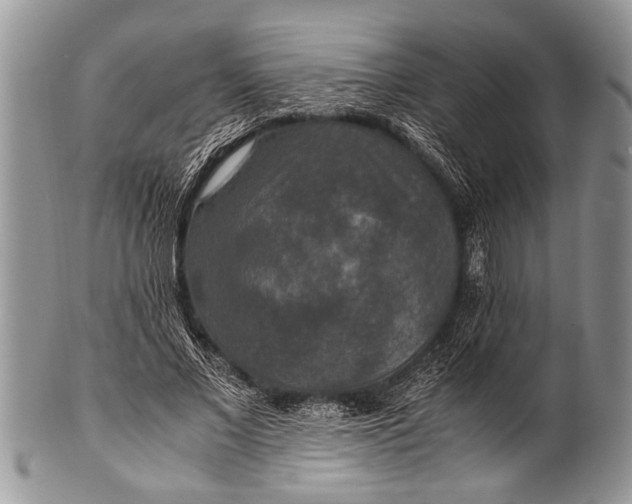 X0000100400685200806201737