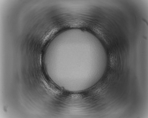 X0000100400686200806201737