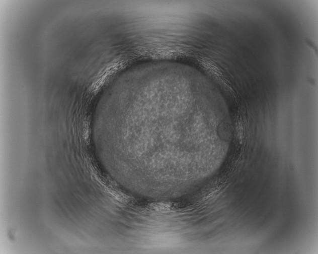X0000100400687200806201737