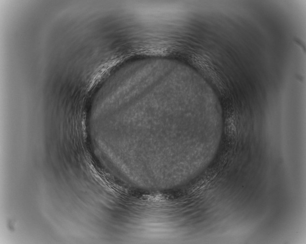 X0000100400688200806201736