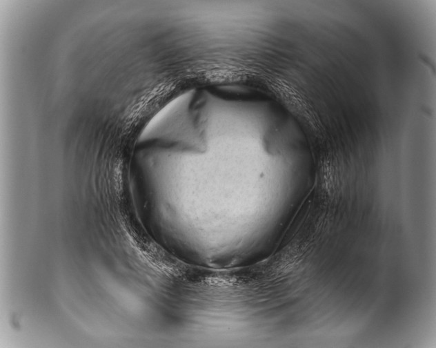 X0000100400690200806201736