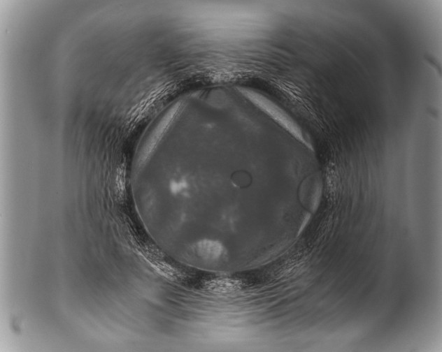 X0000100400691200806201736