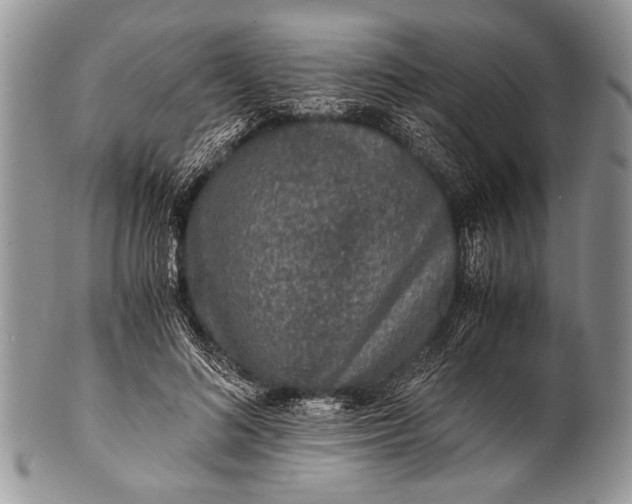 X0000100400692200806201736
