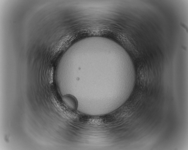 X0000100400694200806201736