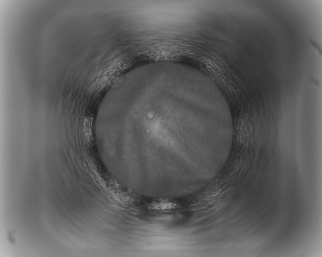 X0000100400695200806201736