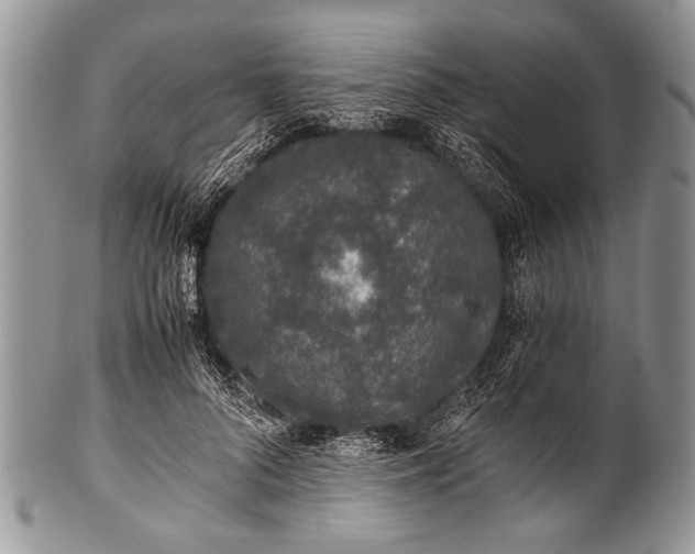 X0000100400696200806201736