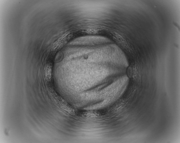 X0000100400697200806201736
