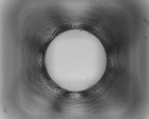 X0000100400698200806201736