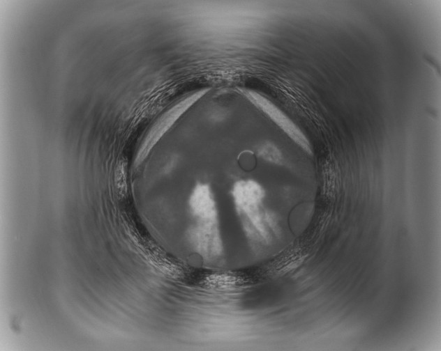 X0000100400699200806201736
