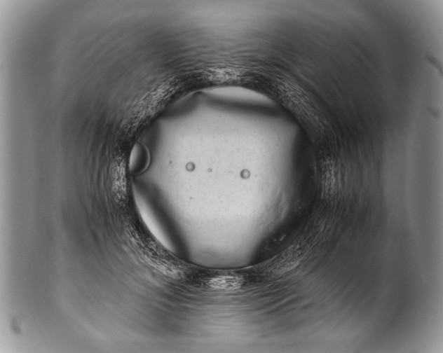 X0000100400700200806201736