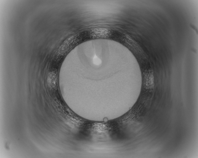 X0000100400701200806201736