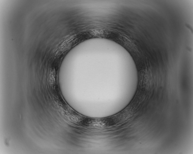 X0000100400702200806201736