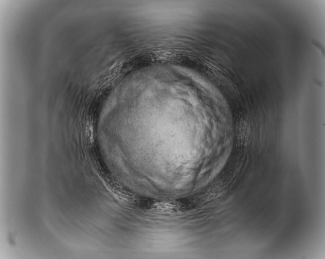 X0000100400703200806201736