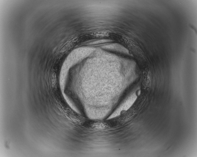 X0000100400704200806201736