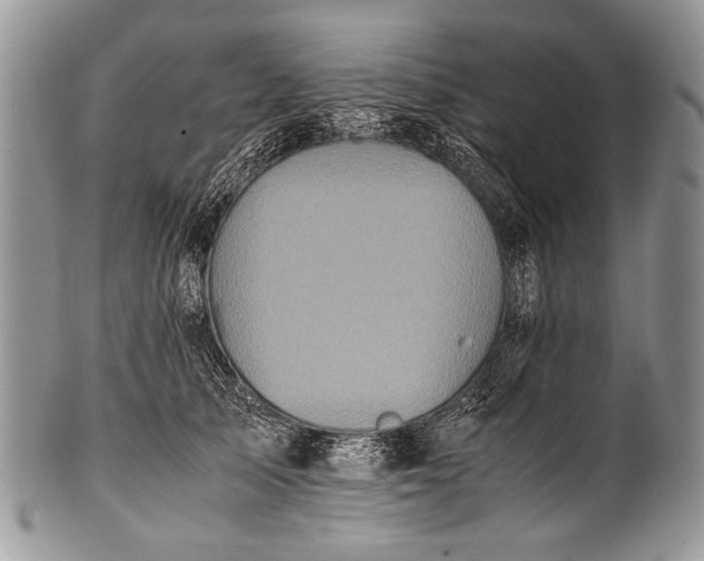 X0000100400705200806201736