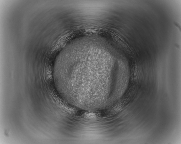 X0000100400706200806201736