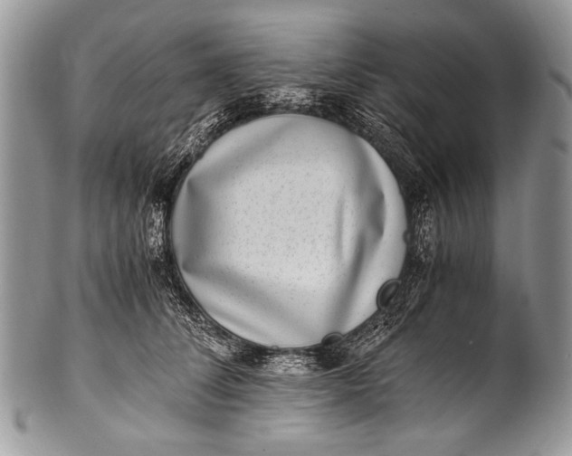 X0000100400708200806201736