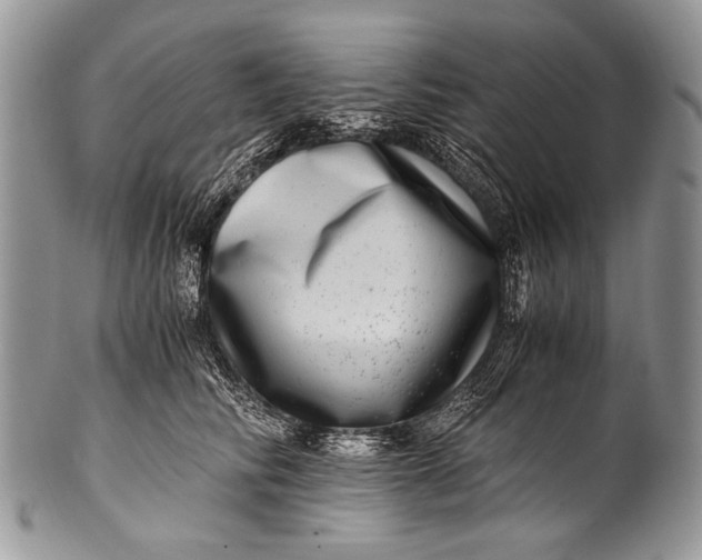 X0000100400710200806201736