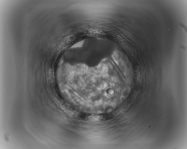 X0000100400711200806201736