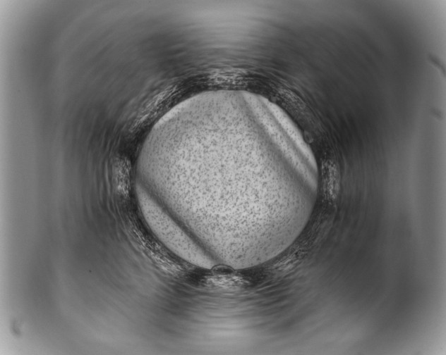 X0000100400712200806201736