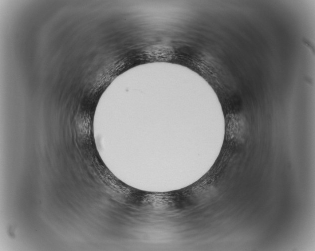 X0000100400713200806201736