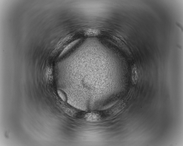 X0000100400714200806201736